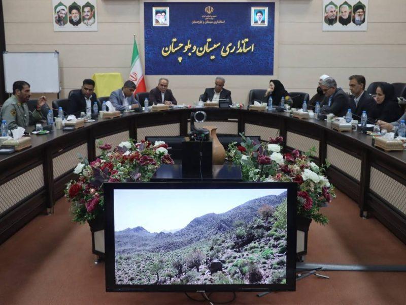 استاندار: ظرفیت‌های طبیعی سیستان و بلوچستان باید به اقتصاد استان پیوند بخورد
