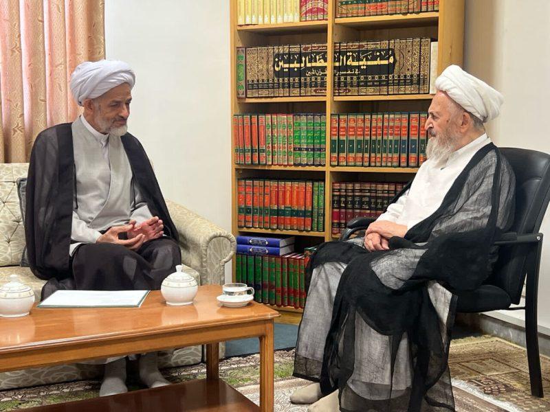 آیت‌الله سبحانی بر پاسداشت جایگاه علمی شهید لاریجانی تاکید کرد