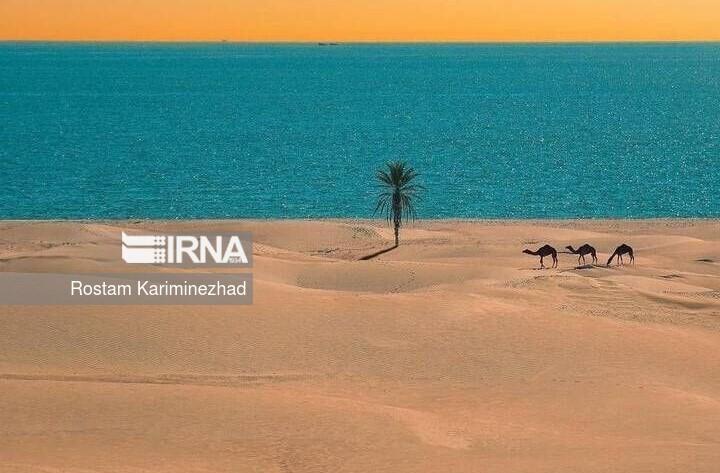 دَرَک؛ برند نوظهور گردشگری در سواحل مَکُران