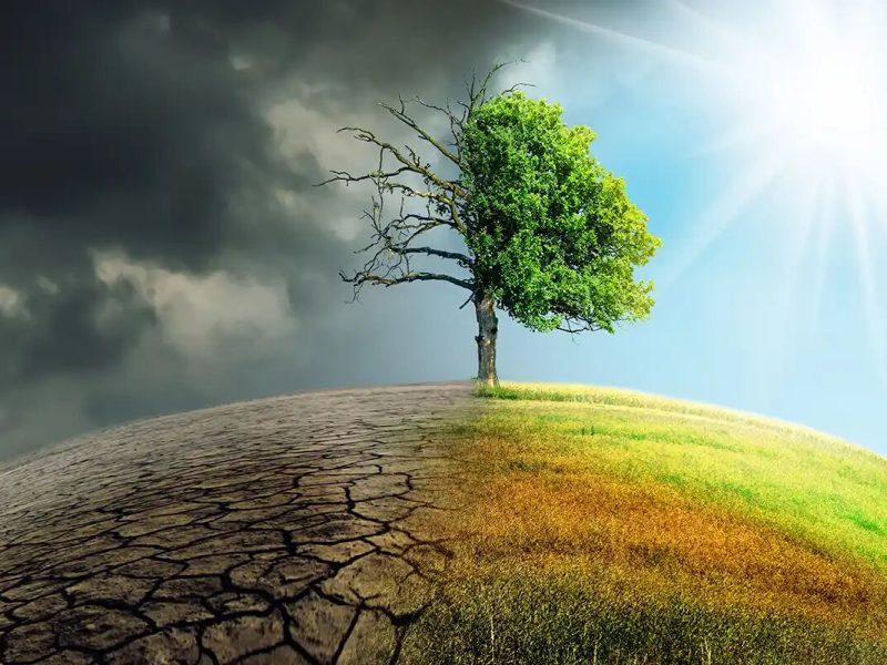 سند ارتقای فرهنگ حفاظت از محیط زیست در فارس ابلاغ شد