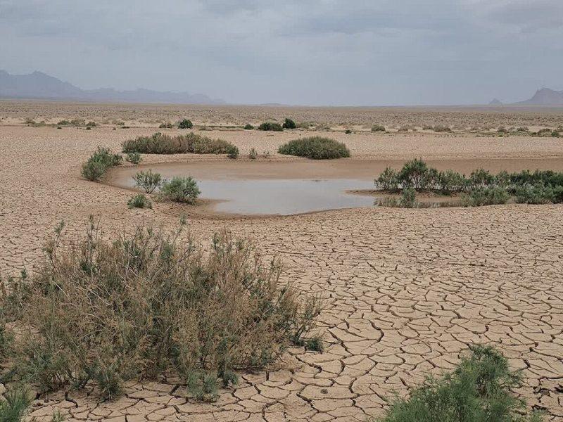 بیابان‌زایی در فارس، بحرانی خاموش با پیامدهایی فاجعه‌بار