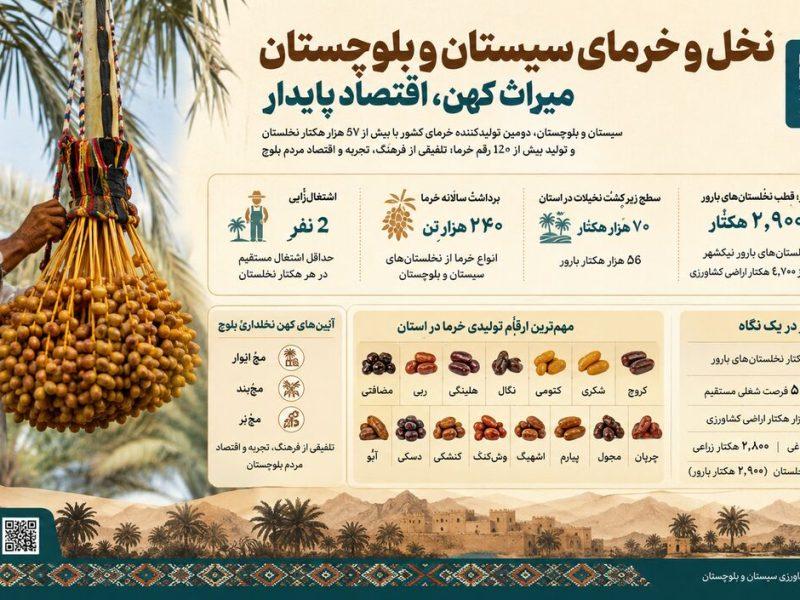 اینفوگرافی | برداشت سالانه ۲۴۰ هزار تن خرما از نخلستان‌های سیستان و بلوچستان