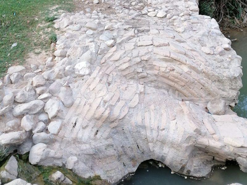 تماشای سازه‌های آبی قجری با گردشی در طبیعت شهری شیراز