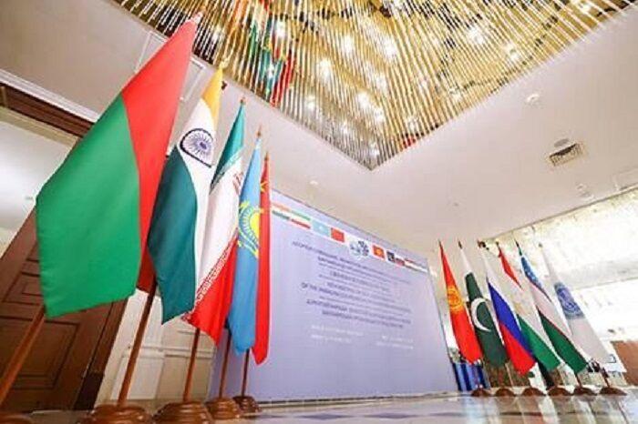 آخرین وضعیت دانشگاه سازمان همکاری شانگهای بررسی شد 