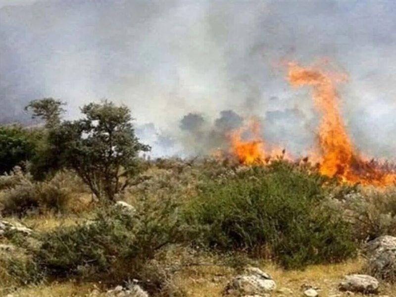 کوهمره شیراز همچنان می سوزد؛ درخواست فوری برای بالگرد و نیروی امدادی