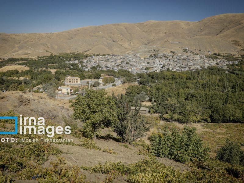 ۲ هزار هکتار برای توسعه باغات دیم در کردستان شناسایی شد
