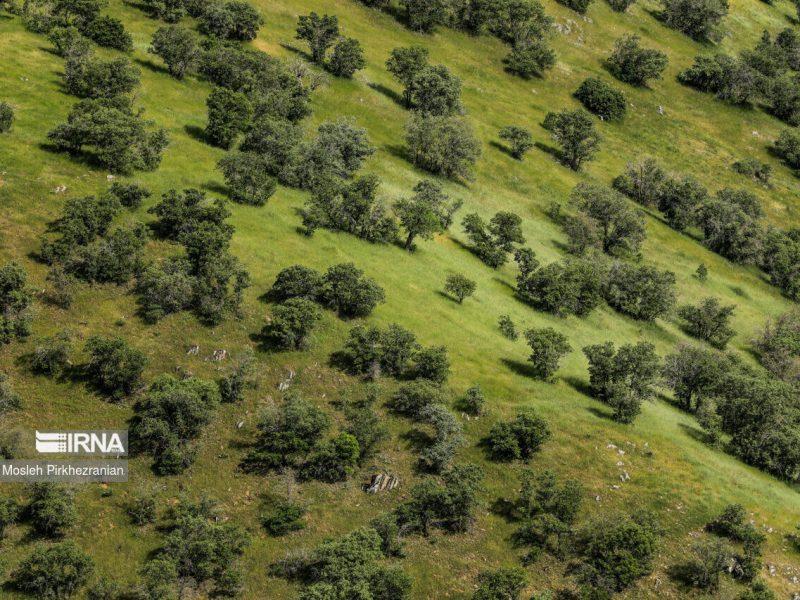 طرح هر دهیاری یک پایگاه جنگلبانی در استان مرکزی اجرا شد