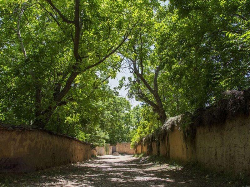 حفظ باغات احمدآباد شیراز با رفع گره ۱۳ ساله آبرسانی