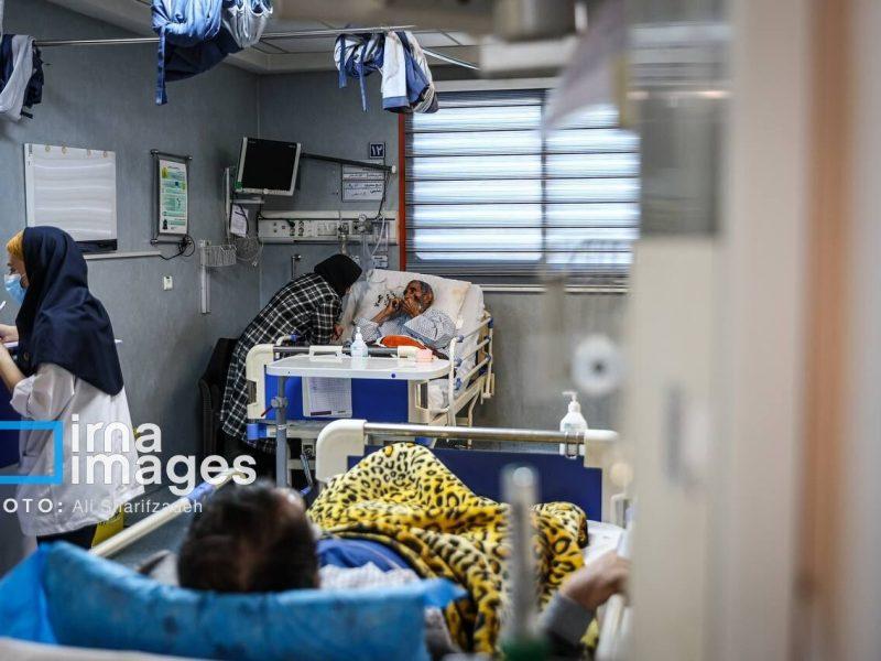 ۵۱۷ نفر در تجاوز دشمن به نواحی جنوبی کشور مصدوم شدند