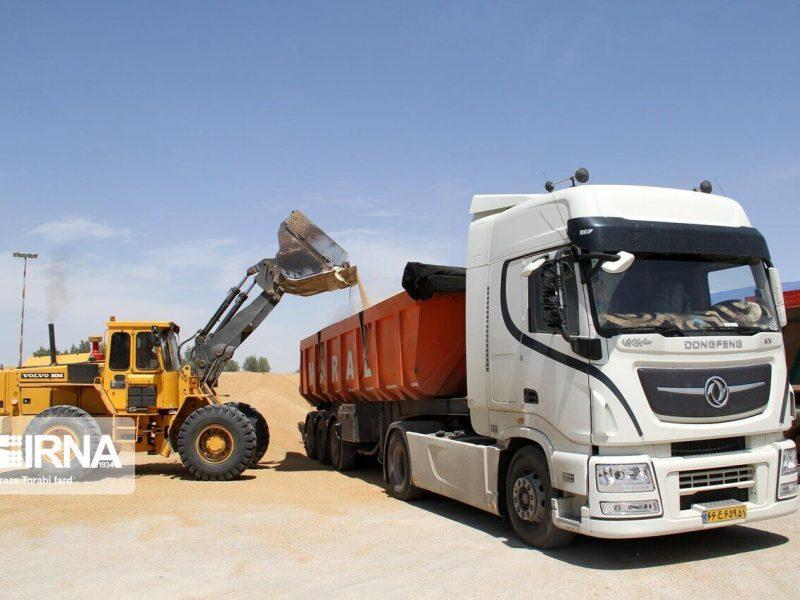 خرید گندم در اردبیل از ۲۵۰ هزار تن گذشت