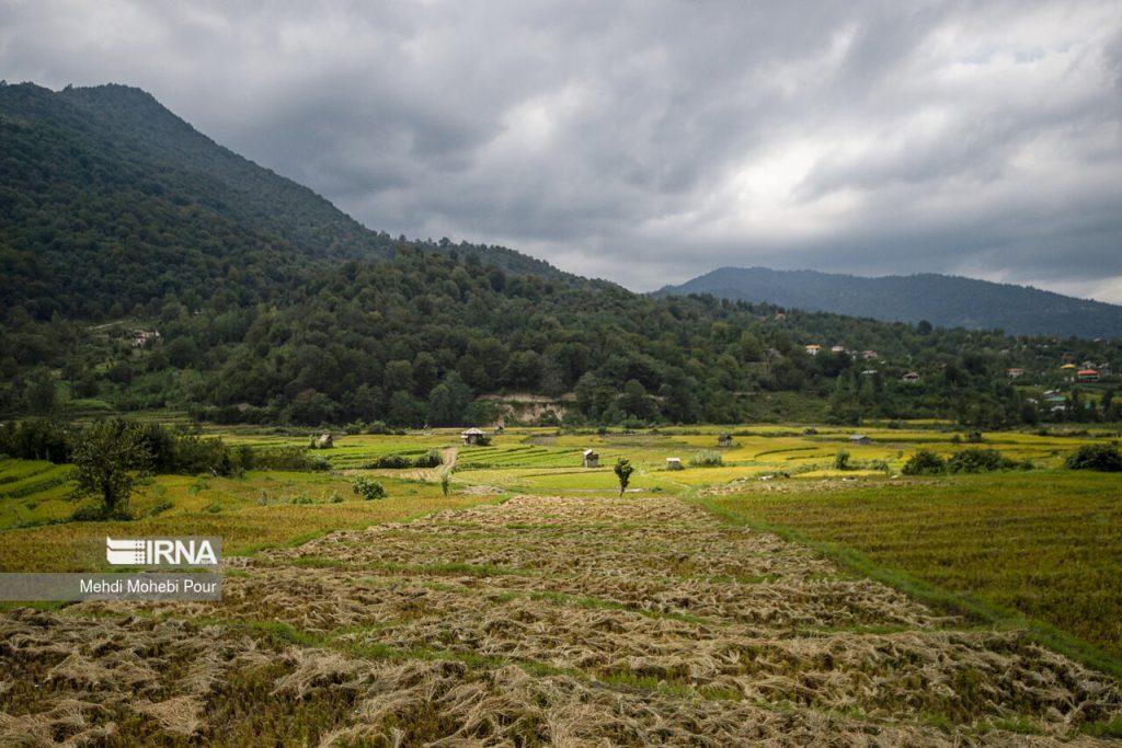 اندیشه شیروان