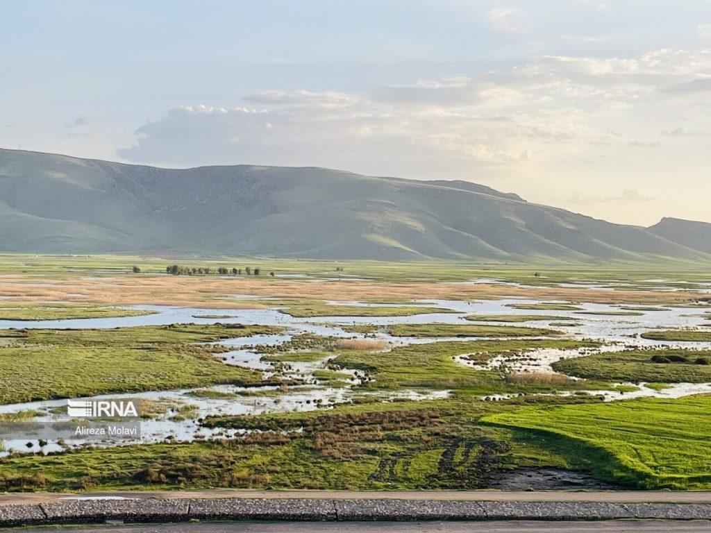 اندیشه شیروان