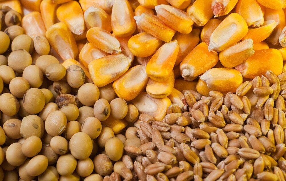 اندیشه شیروان