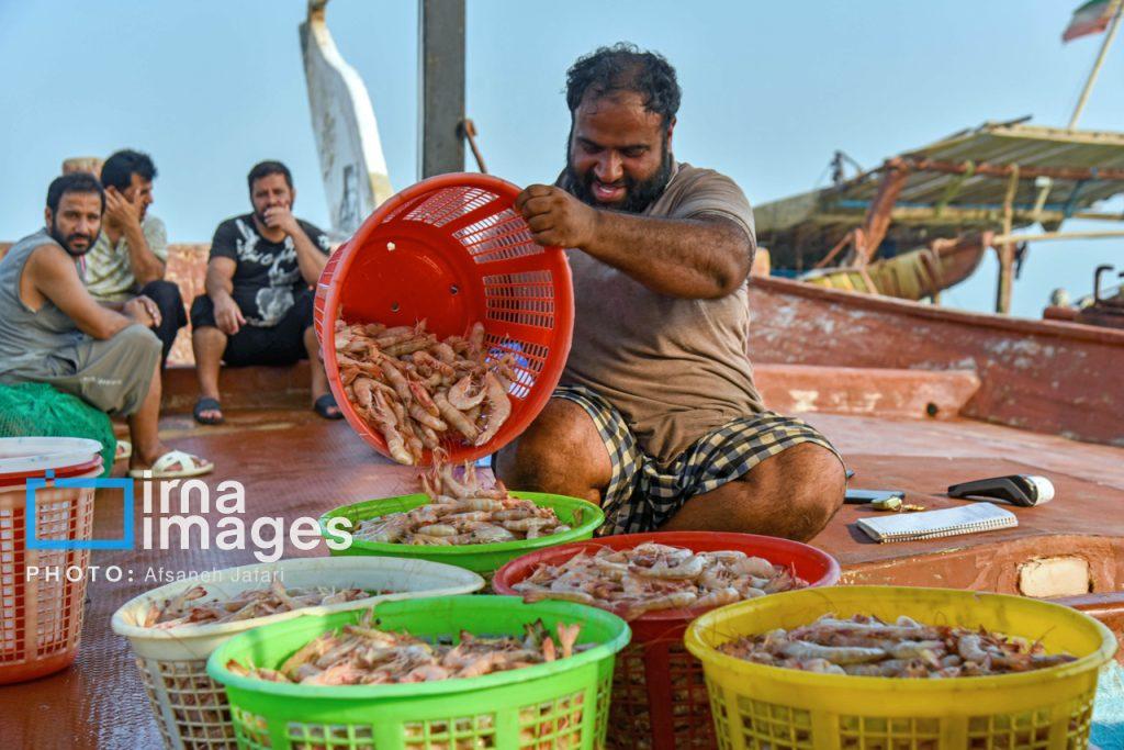 اندیشه شیروان