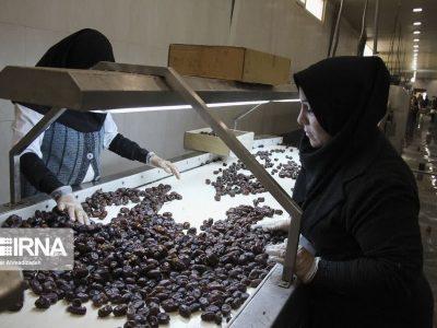 قیمت خرید توافقی خرمای استعمران در خوزستان تعیین شد