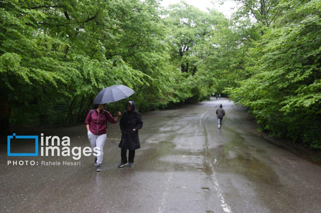 اندیشه شیروان