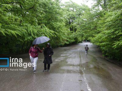 بارش پراکنده باران در ارتفاعات گیلان و مازندران