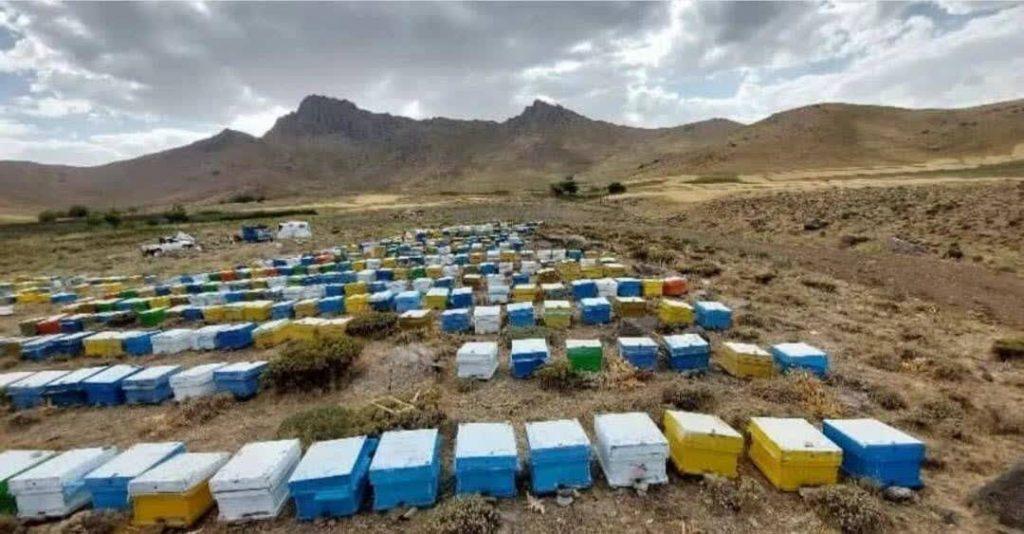 اندیشه شیروان