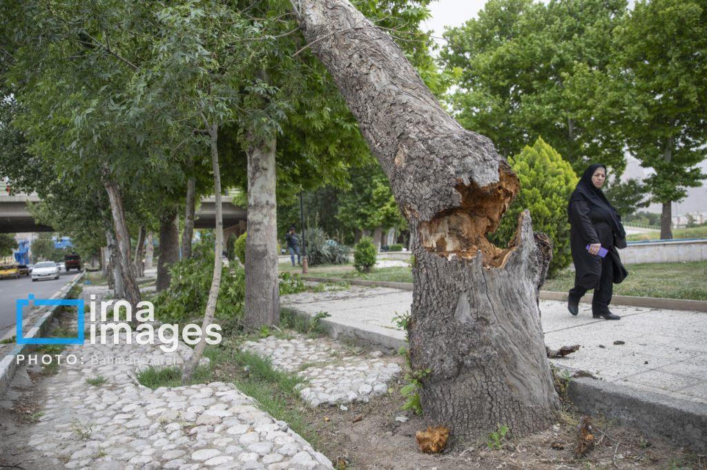 اندیشه شیروان