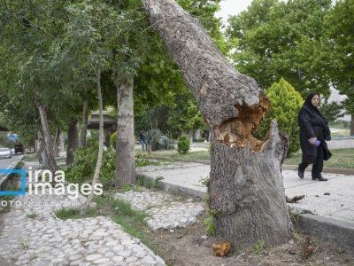 وزش باد در زنجان به حد شدید میرسد