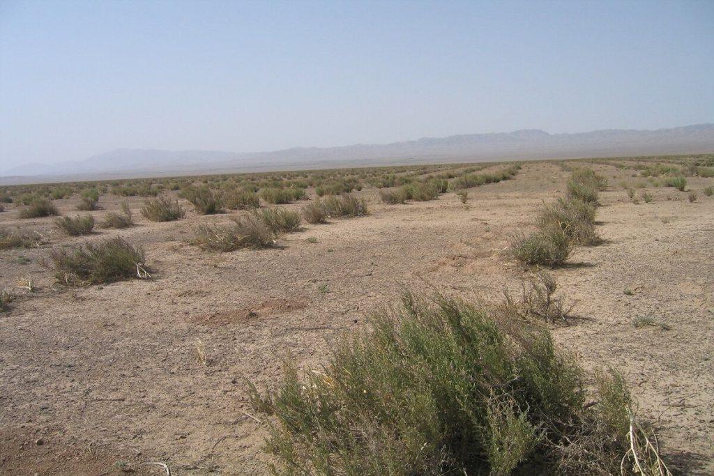 اندیشه شیروان
