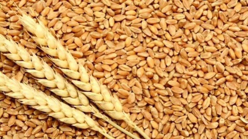 اندیشه شیروان