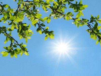 وضعیت جوی خراسان رضوی پایدار است
