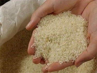شهرستان کارون در مسیر تولید برنج سالم با مدیریت تلفیقی آفات
