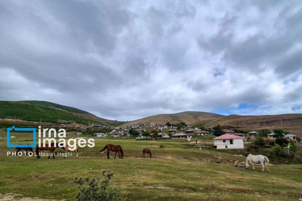 اندیشه شیروان