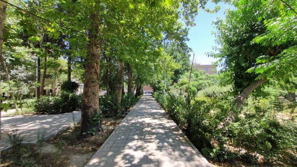 اندیشه شیروان
