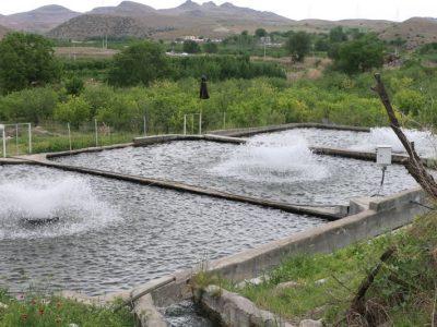 ۲۷ پروژه شیلات در اردبیل برای افتتاح یا کلنگزنی آماده شد