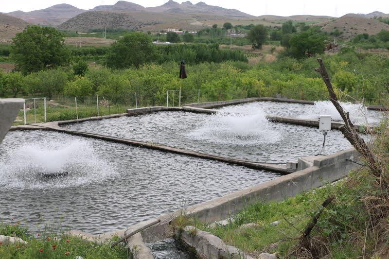 اندیشه شیروان