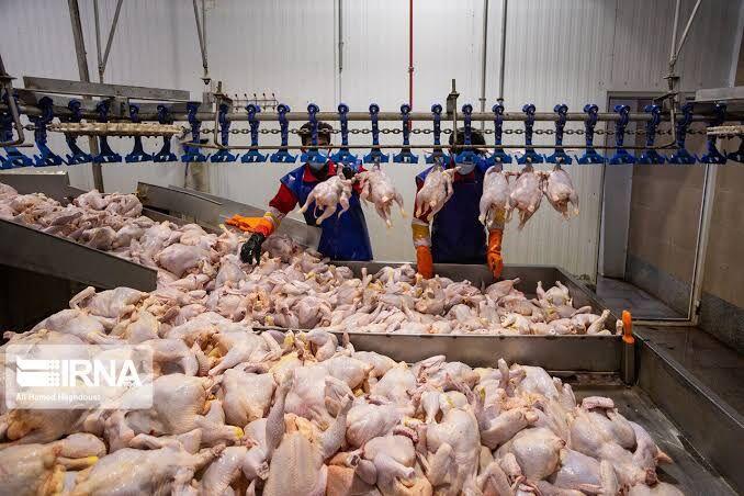 اندیشه شیروان