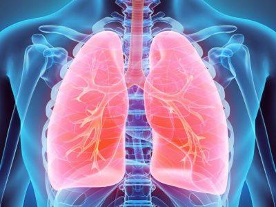نقض یک باور صدساله؛ بقای یک باکتری بیهوازی در محیط پراکسیژن ریه