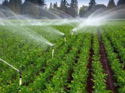 تفکیک اراضی ملی موجب افزایش سطح زمینهای کشاورزی خلخال شد