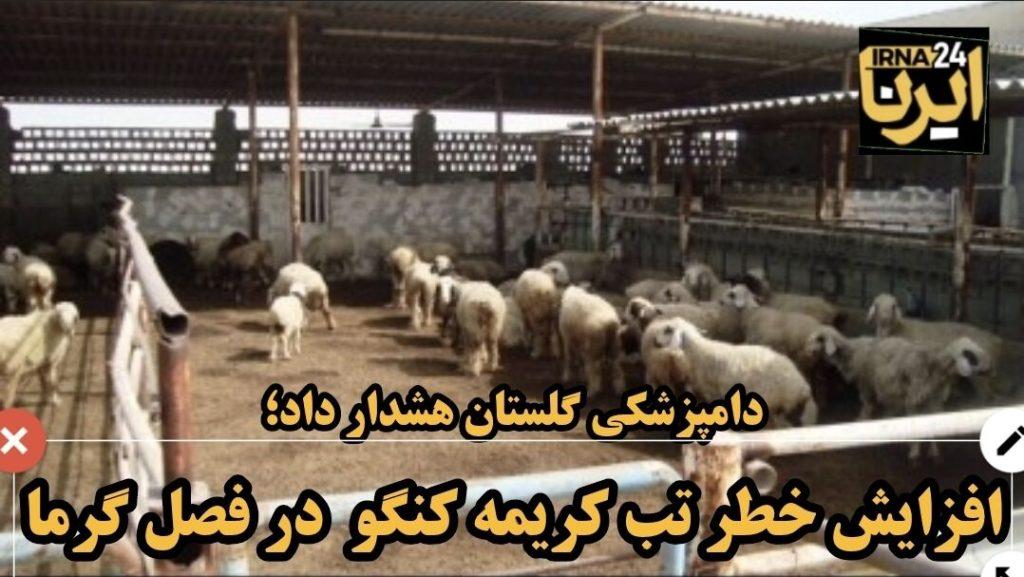 اندیشه شیروان