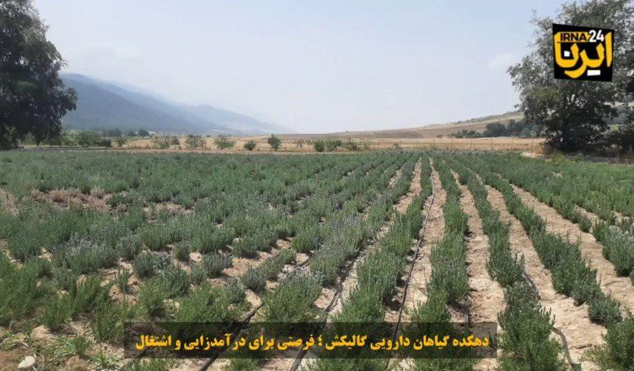 اندیشه شیروان