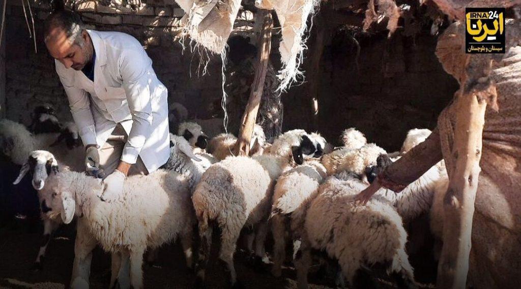 اندیشه شیروان