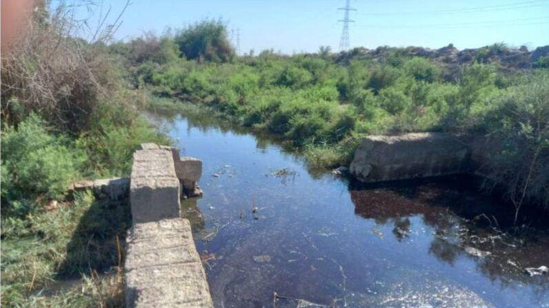 اندیشه شیروان