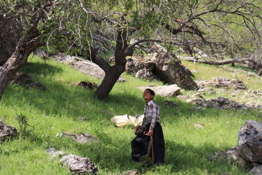 اندیشه شیروان