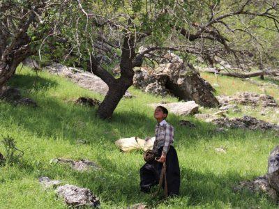 نازول نماینده ایران در جشنواره فیلم هرتسگ نوی