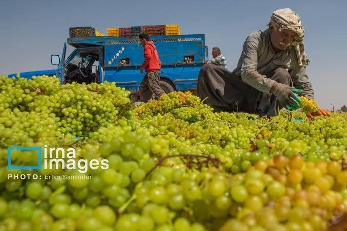 اندیشه شیروان