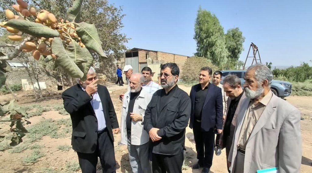 اندیشه شیروان