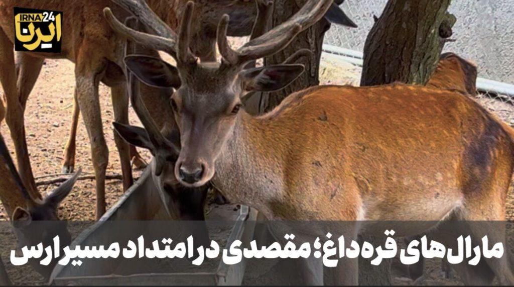 اندیشه شیروان