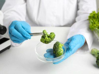 مادهای طبیعی در بروکلی؛ امیدی تازه برای درمان یک بیماری نادر و لاعلاج