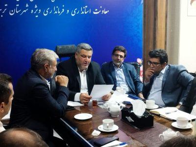 افزایش ۷۶ درصدی طرحهای هفته دولت در تربتحیدریه + فیلم