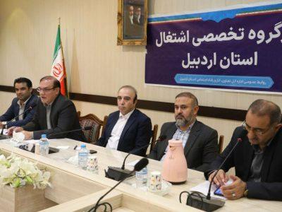 معاون استاندار اردبیل: دانشگاهها مشاغل بومی نوین را شناسایی کنند