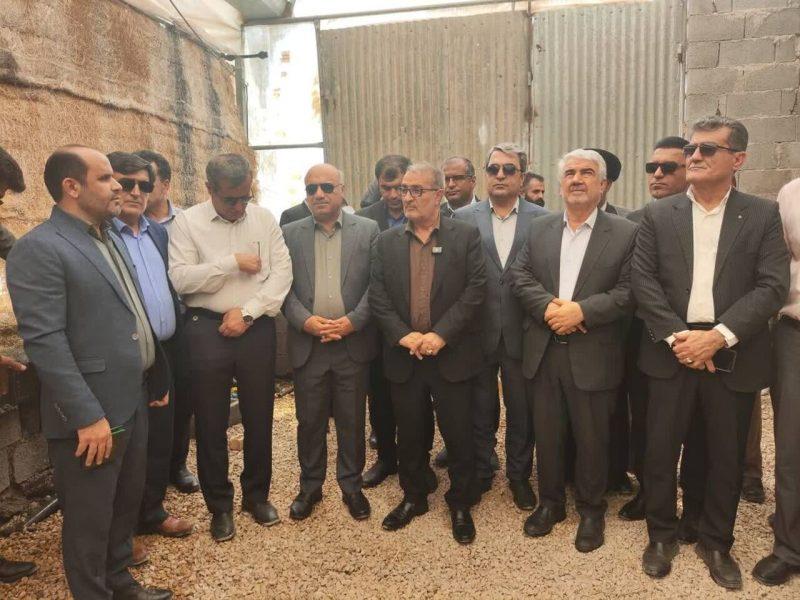 استاندار کهگیلویه و بویراحمد: حمایت از گلخانهها تا مرحله تولید ادامه دارد