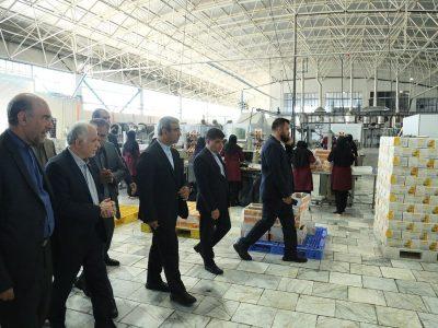 وزیر دادگستری: تشکیل قرارگاههای نظارتی برای تخلفات بازار ضروری است