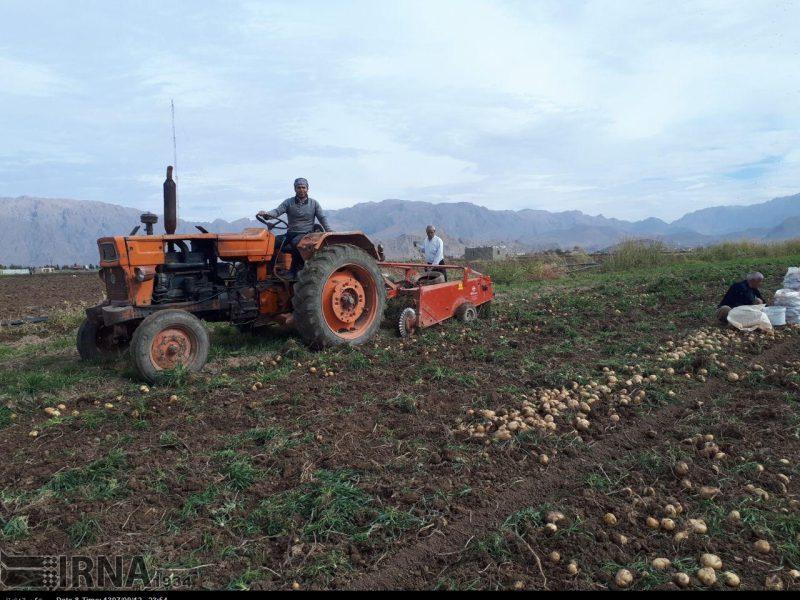 استاندار: کرمانشاه در تولیدات زراعی کشور چهارم شد